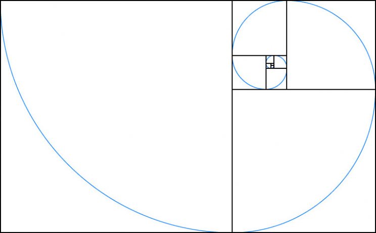 COMPOSITION or How to compose a picture?